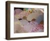 Fans for Sale at a Market Stall, Kyoto Prefecture, Japan-null-Framed Photographic Print