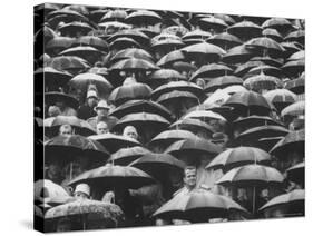 Fans, Sitting in Rain, at Purdue Homecoming Game-Francis Miller-Stretched Canvas