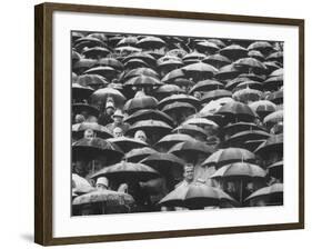 Fans, Sitting in Rain, at Purdue Homecoming Game-Francis Miller-Framed Photographic Print