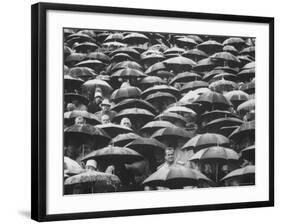 Fans, Sitting in Rain, at Purdue Homecoming Game-Francis Miller-Framed Photographic Print