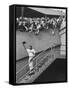 Fans Welcoming Giants Star Willie Mays at Polo Grounds-Art Rickerby-Framed Stretched Canvas