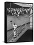 Fans Welcoming Giants Star Willie Mays at Polo Grounds-Art Rickerby-Framed Stretched Canvas