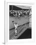 Fans Welcoming Giants Star Willie Mays at Polo Grounds-Art Rickerby-Framed Premium Photographic Print