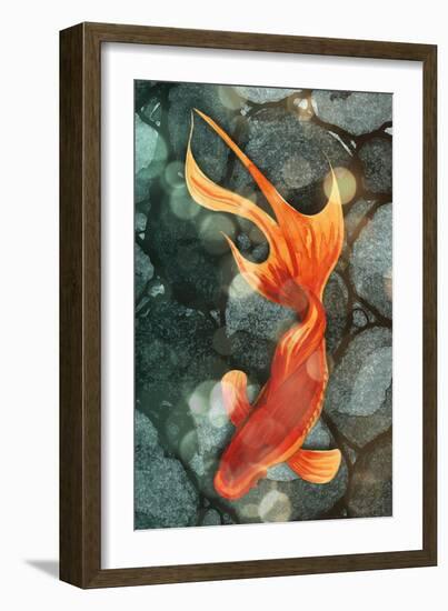 Fantail I-Alicia Ludwig-Framed Art Print