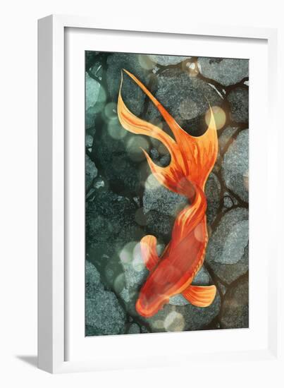 Fantail I-Alicia Ludwig-Framed Premium Giclee Print