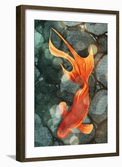 Fantail I-Alicia Ludwig-Framed Art Print