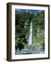 Fantail Waterfall by the Makarpra River Near Haast Pass in Southern Alps, South Island, New Zealand-Robert Francis-Framed Photographic Print