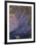 Fantaisie : éclatement orange et bleu, sur fond sombre-Odilon Redon-Framed Giclee Print