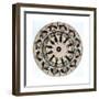 Fantascope Disc, 1833-Thomas Mann Baynes-Framed Giclee Print