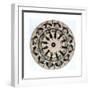 Fantascope Disc, 1833-Thomas Mann Baynes-Framed Giclee Print