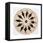 Fantascope Disc, 1833-Thomas Mann Baynes-Framed Stretched Canvas