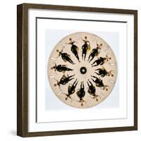 Fantascope Disc, 1833-Thomas Mann Baynes-Framed Giclee Print