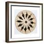 Fantascope Disc, 1833-Thomas Mann Baynes-Framed Giclee Print