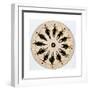 Fantascope Disc, 1833-Thomas Mann Baynes-Framed Giclee Print