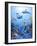 Fantasea-Sheila Lee-Framed Giclee Print