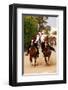 Fantasia, equestrian games in Midoun, Jerba Island, Medenine, Tunisia-null-Framed Premium Giclee Print