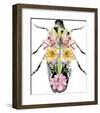 Fantasia Floral Beetle-Kristine Hegre-Framed Giclee Print