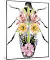 Fantasia Floral Beetle-Kristine Hegre-Mounted Giclee Print