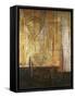 Fantasia II-Patricia Pinto-Framed Stretched Canvas