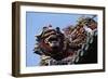 Fantastic Animal-null-Framed Giclee Print