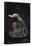 Fantastic Beasts: Crimes Of Grindelwald - Niffler-Trends International-Framed Poster