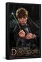 Fantastic Beasts: The Secrets of Dumbledore - Newt-Trends International-Framed Poster