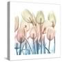 Fantastic Bloom 2-Albert Koetsier-Stretched Canvas