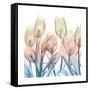 Fantastic Bloom-Albert Koetsier-Framed Stretched Canvas