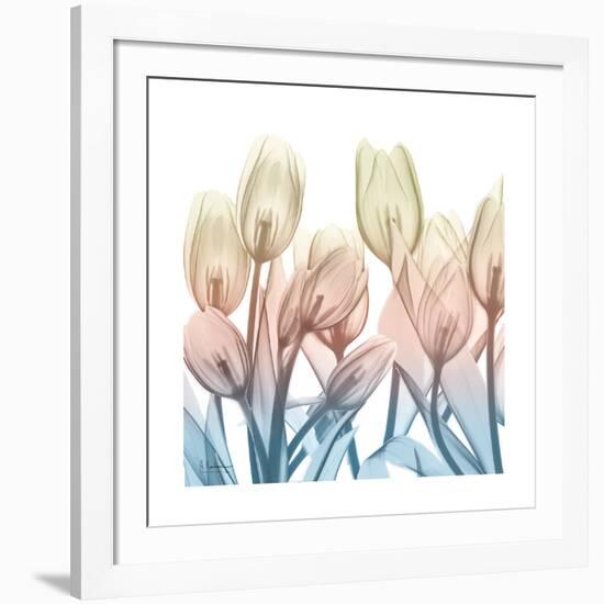 Fantastic Bloom-Albert Koetsier-Framed Art Print