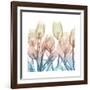 Fantastic Bloom-Albert Koetsier-Framed Art Print