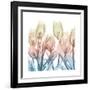 Fantastic Bloom-Albert Koetsier-Framed Art Print