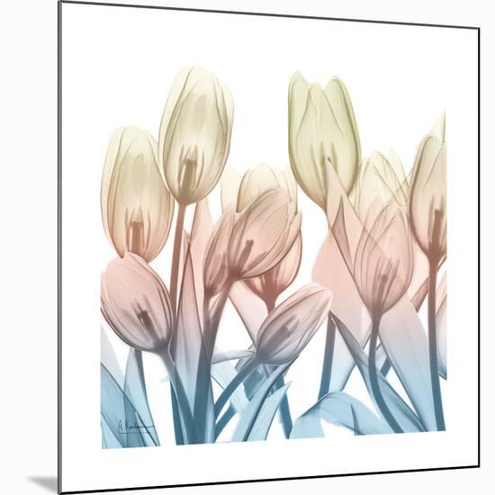 Fantastic Bloom-Albert Koetsier-Mounted Art Print