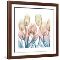 Fantastic Bloom-Albert Koetsier-Framed Art Print