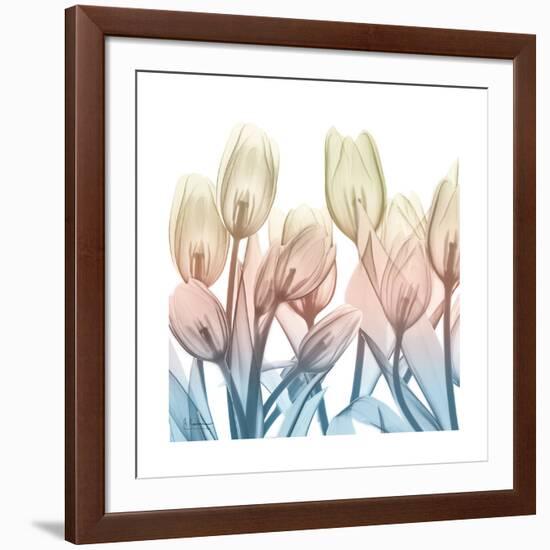 Fantastic Bloom-Albert Koetsier-Framed Art Print