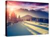 Fantastic Evening Landscape in a Colorful Sunlight. Dramatic Wintry Scene. National Park Carpathian-Leonid Tit-Stretched Canvas