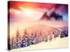 Fantastic Evening Landscape in a Colorful Sunlight. Dramatic Wintry Scene. National Park Carpathian-Leonid Tit-Stretched Canvas