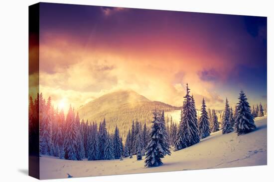 Fantastic Evening Landscape in a Colorful Sunlight. Dramatic Wintry Scene. National Park Carpathian-Leonid Tit-Stretched Canvas