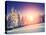 Fantastic Evening Landscape in a Colorful Sunlight. Dramatic Wintry Scene. National Park Carpathian-Leonid Tit-Stretched Canvas