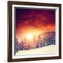 Fantastic Evening Landscape in a Colorful Sunlight. Dramatic Wintry Scene. National Park Carpathian-Leonid Tit-Framed Photographic Print