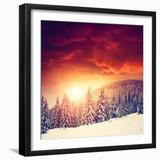 Fantastic Evening Landscape in a Colorful Sunlight. Dramatic Wintry Scene. National Park Carpathian-Leonid Tit-Framed Photographic Print