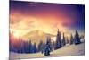 Fantastic Evening Landscape in a Colorful Sunlight. Dramatic Wintry Scene. National Park Carpathian-Leonid Tit-Mounted Photographic Print