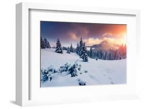 Fantastic Evening Landscape in a Colorful Sunlight. Dramatic Wintry Scene. National Park Carpathian-Leonid Tit-Framed Photographic Print