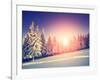 Fantastic Evening Landscape in a Colorful Sunlight. Dramatic Wintry Scene. National Park Carpathian-Leonid Tit-Framed Photographic Print