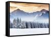Fantastic Evening Winter Landscape. Dramatic Overcast Sky. Creative Collage. Beauty World.-Leonid Tit-Framed Stretched Canvas
