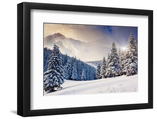 Premium Photographic Print, , large