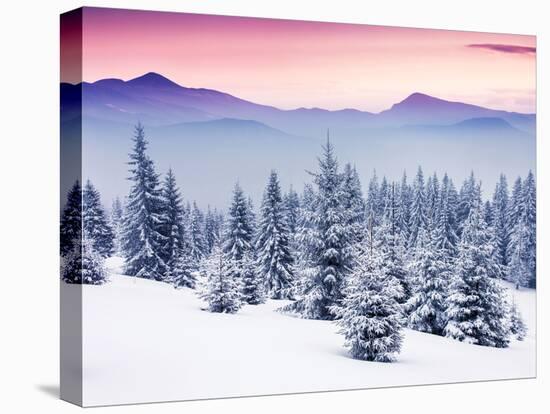 Fantastic Evening Winter Landscape-Leonid Tit-Stretched Canvas