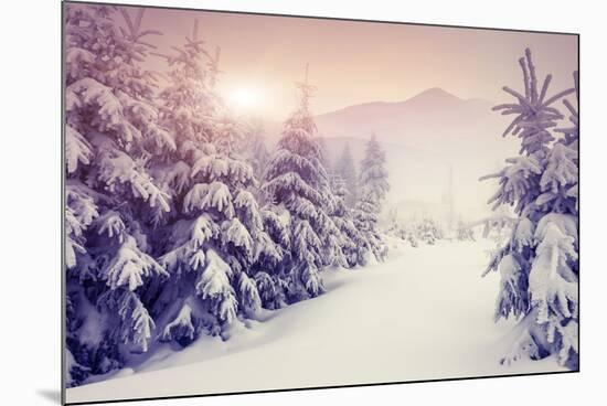 Fantastic Evening Winter Landscape-Leonid Tit-Mounted Photographic Print