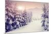 Fantastic Evening Winter Landscape-Leonid Tit-Mounted Photographic Print