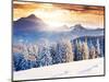 Fantastic Evening Winter Landscape-Leonid Tit-Mounted Photographic Print