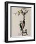 Fantastic Figure-Julio González-Framed Giclee Print